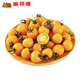 京地達(dá)山東陽光小番茄黃色柿子凈重4.5斤 新鮮現(xiàn)摘水果自然成熟源頭直發(fā)