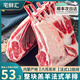 宅鮮匯羊肉羊排新鮮內(nèi)蒙古法式羊排羔羊原切戰(zhàn)斧羊排12肋法排7骨法排 整條羊排【53.3/斤丨多退少補】