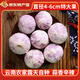 玉燕妃云南正宗新鮮紫皮獨(dú)頭大蒜獨(dú)蒜干蒜 農(nóng)家露天自種助農(nóng)生鮮蔬菜 4cm以上 紫皮獨(dú)蒜干蒜 6斤