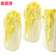 京地達山東新鮮黃心娃娃菜【一袋】一袋凈重500g+火鍋食材 源頭直發(fā)包郵