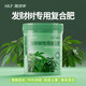 施可豐發(fā)財樹肥料復(fù)合肥黃葉專用肥氮磷鉀花肥緩釋營養(yǎng)家用綠植盆栽掉葉