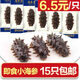 念參堂 即食海參長島大連刺參海鮮水產(chǎn) 單只裝 23-26g( 6-7厘米)：15只