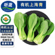 聽蔬上海青小油菜3斤起發(fā) 寶寶孕媽食材 有機(jī)認(rèn)證新鮮采摘火鍋蔬菜 500g