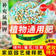緩釋肥花肥家用通用型復(fù)合肥氮磷鉀肥顆粒養(yǎng)花卉多肉盆栽植物專(zhuān)用 緩釋肥500g*2罐店長(zhǎng) 超值劃算送