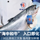 深?lèi)倓俦r新西蘭帝王鮭三文魚(yú) 一整條海鮮年貨冰鮮三文魚(yú)刺身海鮮禮盒 【整條不切】 12斤
