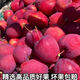 格沃斯（GEWOSI）東北特產(chǎn)雞心果 新鮮小蘋果錦繡海棠果海棠果小沙果應(yīng)季水果 精選凈重5斤大雞心果 新鮮采摘脆甜