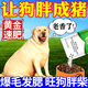 狗狗催肥促長肉長胖猛長快速育肥瘦狗犬用增肥粉寵物發(fā)育寶營養(yǎng)品 3袋 500g 【買2送1】