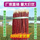 魯氏紅紅柳枝簽子新疆紅柳木簽子燒烤竹簽子燒烤工具羊肉串家庭50支包郵 30厘米4-5毫米50支