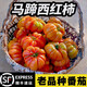 果益壽【順豐直達】云南番茄生態(tài)種植馬蹄番茄西紅柿生吃非潮汕馬蹄番茄 3斤 中果