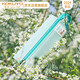 國譽(yù)（KOKUYO）Littlewoods系列C2大容量可平攤式筆袋大號 森林綠 1個(gè) WSG-PCN23LG