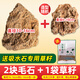 石光小站吸水石毛石上水石假山盆景尾貨庭院觀賞裝飾室內客廳送禮擺件石頭 2塊吸水石毛石試用裝+送混裝草籽