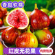 旭諾云南紅皮無(wú)花果 精選大果 新鮮水果禮盒產(chǎn)地直發(fā)孕婦水果 2斤中果35g+