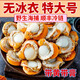 【順豐包郵】無(wú)冰特大號(hào)海捕扇貝肉新鮮冷凍海鮮鮮活野生貝肉全貝 1斤扇貝肉無(wú)冰