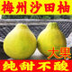 正宗沙田柚梅州柚子純甜梅縣當季新鮮水果白心孕婦批發(fā)非廣西容縣 【純甜果】帶包裝50斤