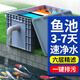 HASE魚(yú)池水循環(huán)系統過(guò)濾器設備魚(yú)塘養魚(yú)戶(hù)外大型水池凈水周轉箱過(guò)濾箱 大號魚(yú)池過(guò)濾箱【水泵+濾材】 適合10立方內