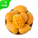 趣嘗鮮 海南 即食大臺農 芒果 凈重4.5斤 單枚100g起 源頭直發(fā)一件包郵