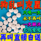 狗狗止叫啞巴藥狗見愁防狗亂叫神器一用不叫止吠器安撫訓(xùn)狗犬類 長期不叫（只需吃一次）