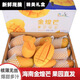憶京源海南金煌芒水仙芒果 現(xiàn)摘特大果三亞直發(fā)甜心芒 新鮮當(dāng)季孕婦水果 5斤精選大果