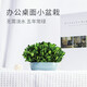 馨顏植辦公室桌面小盆栽好養四季常青無(wú)需澆水的盆景植物家居裝飾小綠植 【辦公招財】黃楊小盆栽【16*11CM】