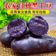 黑土豆新鮮小土豆農(nóng)家烏洋芋馬鈴薯黑金剛紫色土豆農(nóng)家蔬菜黑美人 黑土豆5斤