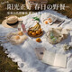 萊沛詩(shī)野餐布戶(hù)外露營(yíng)沙發(fā)毯子沙灘春游地墊民族風(fēng)海邊拍照法式桌布墊子 露營(yíng)毯【白色T格-130*180cm 】
