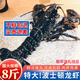 沃鮮客波士頓龍蝦鮮活冷凍8斤大龍蝦海鮮年貨大禮包水產(chǎn)特大波龍澳龍蝦 鮮凍波龍500-600g/只發(fā)一只