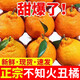 甜萌果蔬四川不知火丑橘子耙耙丑柑丑八怪丑桔子新鮮水果送人送禮整箱 5斤活動(dòng)裝【果香四溢|單果約80mm+】?jì)糁?.5