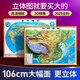 3d地圖立體精雕版中國(guó)地理圖掛圖和世界地理圖掛圖三維浮雕學(xué)習(xí)地理教具 106*76cm中國(guó)+世界【2025精雕版】