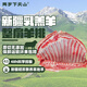 兩歲下天山新疆羊肉串草地乳羔羊生鮮羊排羊蝎子羊腿半只羊烤全羊送禮 羊排整扇4斤