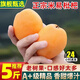 京興果四川攀枝花米易枇杷5斤新鮮水果應當季琵琶大五星甜枇杷 5斤精選裝