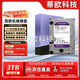 西部數據監(jiān)控專用紫盤綠盤500G-1T-2T-3T-4T-6T-8T-10T通用機械硬盤7*24小時全天運行?？荡笕A適用3.5英寸 3TB 監(jiān)控硬盤