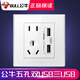 公牛插座帶usb充電面板手機快充五孔86型墻壁暗裝家用二三插多孔 g32白色雙usb 無規(guī)格