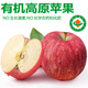 諸氏橙品【有機(jī)】高原蘋果 紅富士新鮮水果 高端時(shí)令蘋果整箱生鮮禮盒送禮 12枚家庭中果嘗鮮，帶箱約5斤