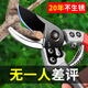 JCZS日本原裝剪刀修枝剪園藝剪刀sk5修花修樹枝專用剪刀果樹粗枝剪子 【SK5鋼】腰盒套裝