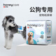 HONEYCARE狗狗紙尿褲公狗尿不濕尿片安全褲 S適用體重4-7kg/12片裝