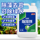 貝意品魚(yú)缸除藻劑去苔劑凈青苔清除劑褐藻去除神器綠水綠藻絲藻克星專(zhuān)用