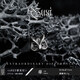 古西GUXI【森靈之息】925銀耳釘男高級感小眾設(shè)計感耳飾女養(yǎng)耳洞飾品 貓頭鷹款（單只）