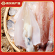 海鮮頌筆管魚冷凍魷魚 海鮮水產(chǎn)筆管 墨斗魚小海兔子火鍋燒烤食材年夜菜 400g(凈重)
