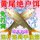 黃尾專(zhuān)用餌料野釣專(zhuān)攻紅尾魚(yú)餌料釣鲴魚(yú)鯽魚(yú)爆護打窩料誘魚(yú)開(kāi)口劑 黃尾餌料【1袋裝】