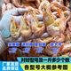 鯊魚(yú)哥蝦干500g對蝦干海鮮干貨小蝦干海蝦干新鮮福建特產(chǎn)干蝦肉海味水產(chǎn) 實(shí)惠版一斤約160只左右