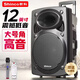 新科 廣場(chǎng)舞音響大功率低音炮移動(dòng)戶外K歌藍(lán)牙拉桿麥克風(fēng) 12英寸音箱擴(kuò)音器無(wú)線話筒攤擺攤喇叭 12英寸【重低音】單話筒+遙控器
