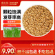 萌小貝貓草種子 20g*10包 小麥種子土培水培懶人盆栽種植貓草草籽