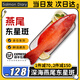 今嘉 東星斑鮮活速凍老虎斑 燕尾大石斑 龍膽石斑魚(yú) 海鮮年貨禮盒燕尾斑【500-600克/條】