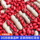 北蔬 花生種子原種新品種產(chǎn)高黑花生紅皮四粒紅農(nóng)科院種籽 四粒紅花生種子 10斤【不帶殼】
