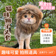 甜苗苗貓咪獅子頭套寵物帽子可愛搞怪拍照道具小狗狗金漸層裝飾裝扮服飾 貓咪獅子頭套 均碼（適用5~14斤）