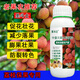 荔枝龍眼豐產(chǎn)素坐果率高?；ū９蚬鎏鸱懒艳D(zhuǎn)色增產(chǎn)專用葉面肥 荔枝龍眼豐產(chǎn)素500g*1瓶