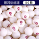 銀河（YINHE）乒乓球新材料40+紫無(wú)星塑料球發(fā)球機訓練用球 【50顆】訓練球