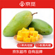 京覓海南金煌芒大青芒 凈重4.5斤大果單果380g+ 時(shí)令水果 源頭直發(fā)