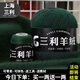 三利上海三利羊絨線(xiàn)正品100%純山羊絨線(xiàn)毛線(xiàn)團中粗手編織毛衣圍巾diy 46墨綠【今日下單買(mǎi)一送一】 100%山羊絨