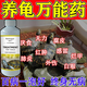 瑞美貝豬鼻龜專用藥萬(wàn)能龜藥腐皮爛甲白斑病聚維酮碘真菌護(hù)龜液養(yǎng)殖通用 120ml 1瓶 裝【推薦購(gòu)買多瓶裝】